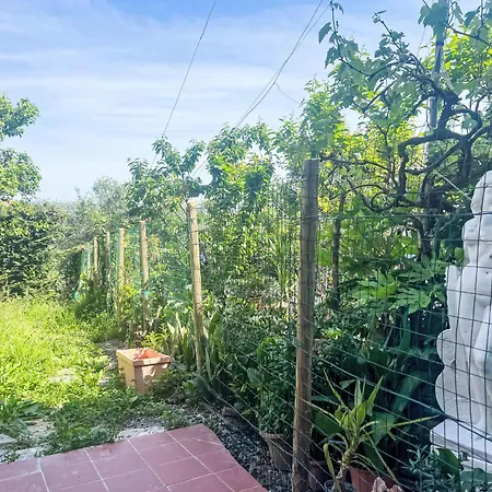 La Casa Di Bibi By Interhome * Costarainera